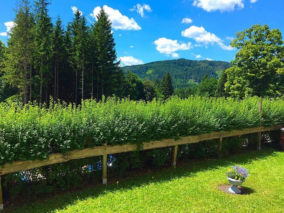 Stadtzentrum Mariazell Bagian luar foto
